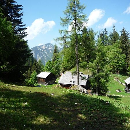 Apartment Schloemicher Leopold Und Birgitt Bad Mitterndorf Exterior photo