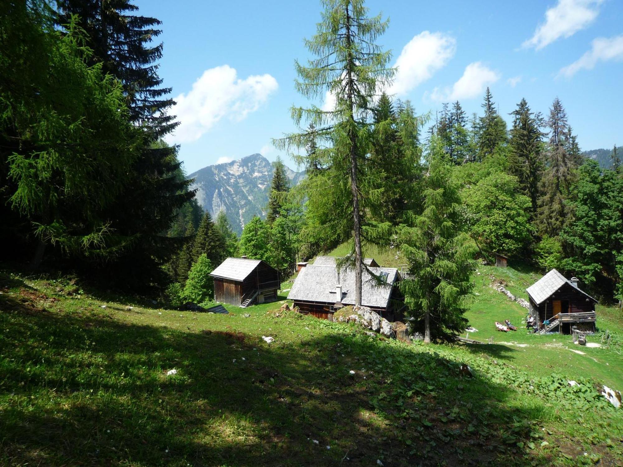 Apartment Schloemicher Leopold Und Birgitt Bad Mitterndorf Exterior photo